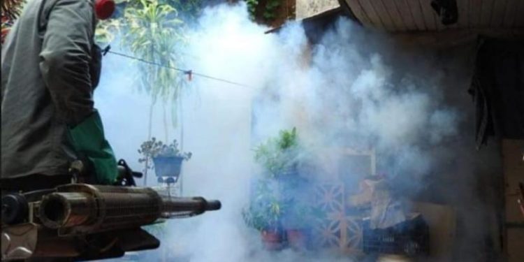 Dengue: ascienden a 4073 los casos sospechosos en Misiones 1 2024