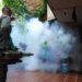 Dengue: ascienden a 4073 los casos sospechosos en Misiones 3 2024