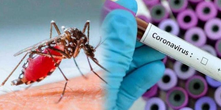 El Gobierno de Misiones presentó estadísticas sobre el Coronavirus y el Dengue 1 2024