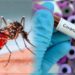 El Gobierno de Misiones presentó estadísticas sobre el Coronavirus y el Dengue 3 2024