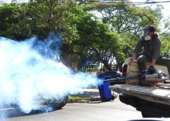 Para combatir al dengue, siguen los intensos rastreos, casa por casa 3 2024