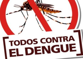 Rompiendo mitos: “La lavandina no mata las larvas de mosquitos del dengue" 15 2024