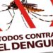 Rompiendo mitos: “La lavandina no mata las larvas de mosquitos del dengue" 5 2024