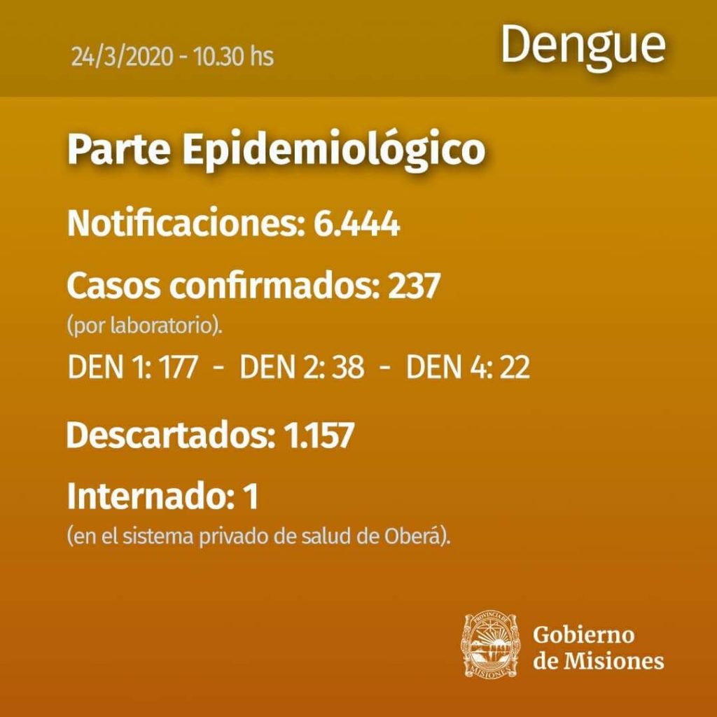 El Gobierno de Misiones presentó estadísticas sobre el Coronavirus y el Dengue 5 2024