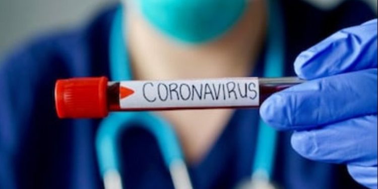Coronavirus en Misiones: no se registran casos pero hay 62 personas en aislamiento 1 2024