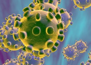 Coronavirus: el Ministerio de Salud agregó tres nuevos síntomas para definir un caso sospechoso 17 2024