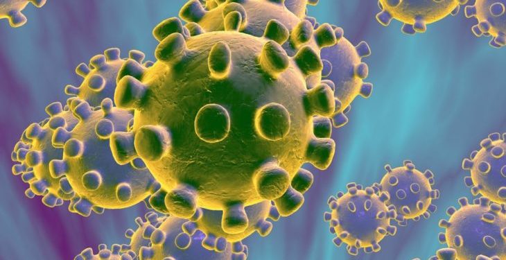 La OMS reclamó acceso a "todos los datos" para investigar el origen del coronavirus 1 2024