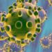 La OMS reclamó acceso a "todos los datos" para investigar el origen del coronavirus 3 2024