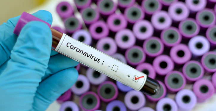 La OMS pidió casi 8 millones de dólares para frenar la "oleada" de variantes de coronavirus 1 2024