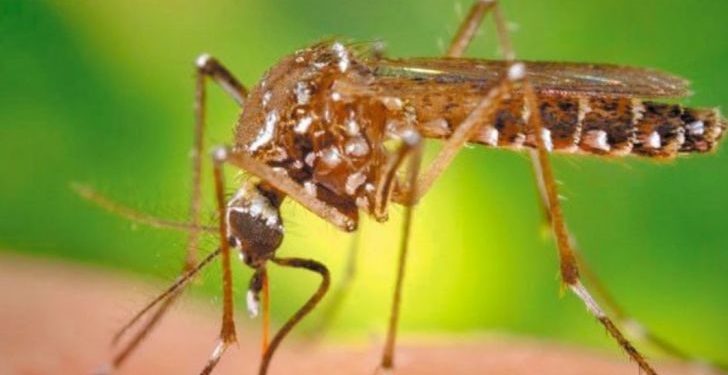 “La Provincia no oculta información sobre el dengue, sino que la difunde”, dijo el ministro de Salud de Misiones Oscar Alarcón 1 2024