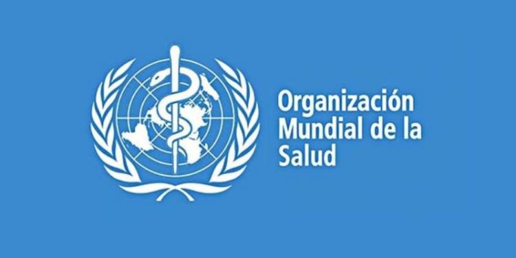 La OMS insiste en la importancia de realizar las pruebas de detección del coronavirus para detener la pandemia 1 2024