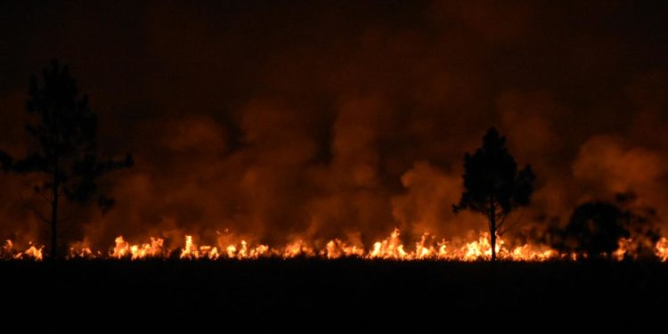 El incendio que dejo a la ciudad de Posadas bajo humo 1 2024