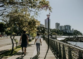 Unas 40 mil personas participaron de la doble jornada de caminatas en la Costanera Parque 9 2024