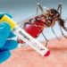Misiones no registra nuevos casos de Covid, pero el dengue va en aumento 3 2024