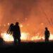 Incendio en el acceso Oeste: a la medianoche sofocaron 20 hectáreas 5 2024