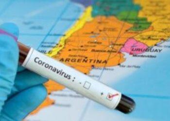 Coronavirus: informan 113 nuevos fallecimientos y 11.674 casos positivos 5 2024