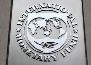 El FMI elogió la nueva oferta de deuda que la Argentina presentó a los acreedores 1 2024