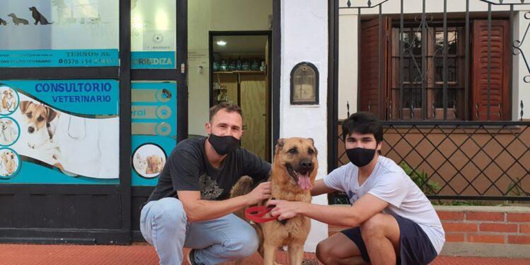 Taxi Guau: un servicio de traslados para mascotas que ya cumplió su viaje número 100 1 2024