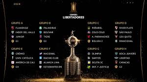 Fixture Conmebol Libertadores 2020: horarios y días de la Fase de Grupos 9 2024