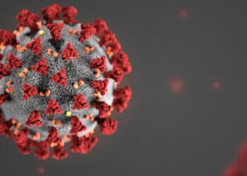 Alarma en la OMS y en varios países por el avance implacable del coronavirus 5 2024