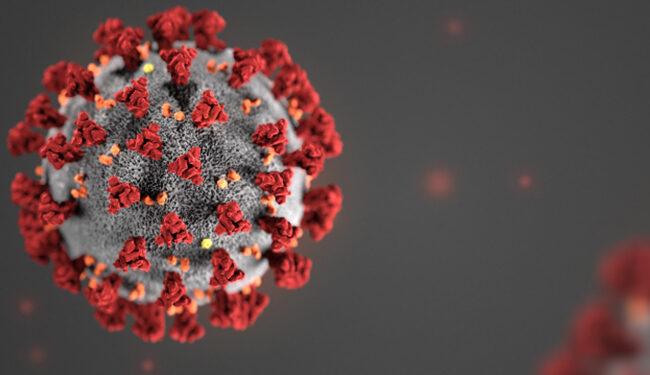 Alarma en la OMS y en varios países por el avance implacable del coronavirus 1 2024