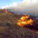 Reserva Campo San Juan: los incendios continúan azotando la región y ya se quemaron 700 hectáreas de pastizales 4 2024