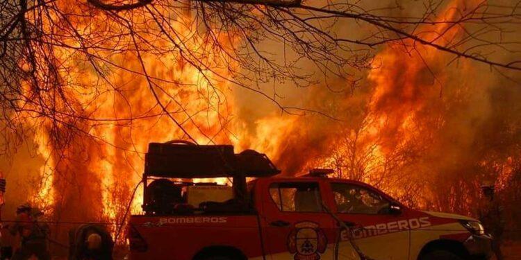 Músicos reaccionan contra los incendios forestales en Argentina 1 2024