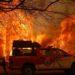 Músicos reaccionan contra los incendios forestales en Argentina 7 2024