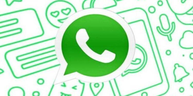 Circus suma un grupo de difusión por whatsapp para acercar contenidos noticiosos 1 2024