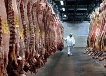 El sector ganadero expresó su descontento por la renovación de los cupos a la exportación de carne 17 2024
