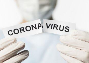 Infectólogos advirtieron sobre una posible “segunda ola de contagios” en Argentina 11 2024