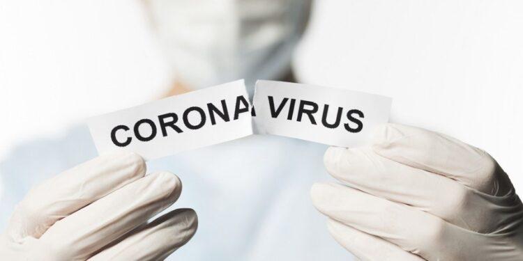 Coronavirus: Argentina cruzó el pico de la primera ola  sin la saturación del sistema de salud 1 2024