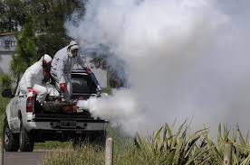 Dengue: según informe Posadas sigue en zona de riesgo 17 2024