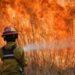 Córdoba en emergencia por incendios: alertó que podría pedir bomberos a otras provincias 3 2024