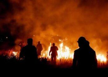 Más de 7.000 focos de incendio afectan a Paraguay 3 2024