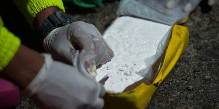 Investigan el tráfico de cocaína desde la Argentina a Francia disimulada en análisis clínicos 1 2024