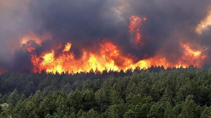 Preocupante panorama de incendios en Misiones 5 2024
