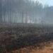 Incendios en Gobernador Virasoro ya afectaron casi 10 mil hectáreas 9 2024