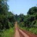 Trabajan para mejorar la ruta 101 que atraviesa el Parque Nacional Iguazú 3 2024
