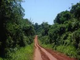 Trabajan para mejorar la ruta 101 que atraviesa el Parque Nacional Iguazú 5 2024