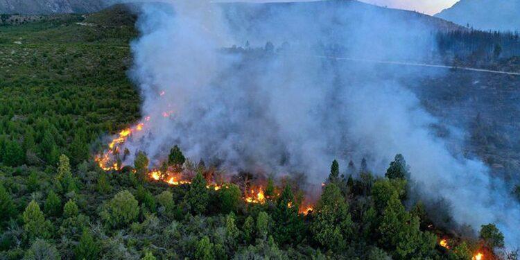 Precisan que son más de 7.000 las hectáreas quemadas en Rio Negro e investigan origen del incendio 1 2024