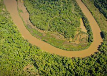 Ecología e Industria pedirán que restauren “pasivo ambiental” en Garuhapé 9 2024