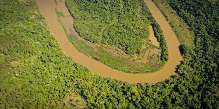 Ecología e Industria pedirán que restauren “pasivo ambiental” en Garuhapé 1 2024