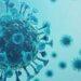 La variante Ómicron del coronavirus no produjo muertes pero preocupa al mundo 3 2024