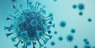 Detectan en el país variantes del coronavirus del Reino Unido, Manaos y California 1 2024