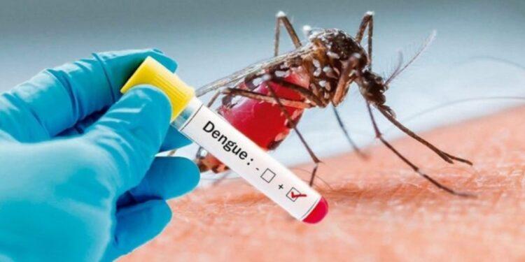 Dengue: Preocupación por la circulación de dos serotipos en Misiones 1 2024