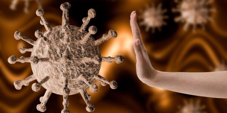 Coronavirus: Misiones supera los 23 mil positivos desde que arrancó la pandemia 1 2024