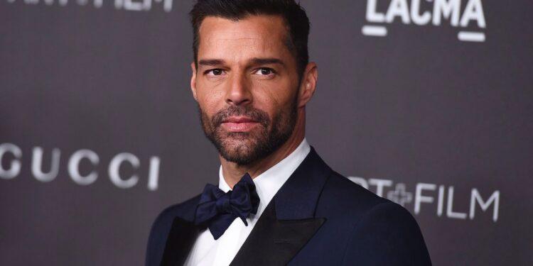 Ricky Martin denunció a Instagram tras la censura de una foto con su hijo 1 2024