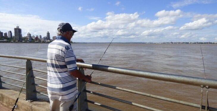 Veda total: está prohibido pescar en los ríos Paraná e Iguazú 1 2024