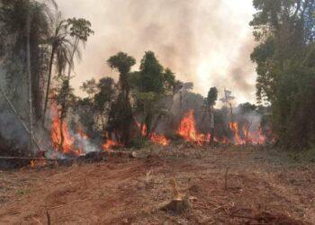 Misiones: Se registraron nueve incendios forestales en Misiones 7 2024